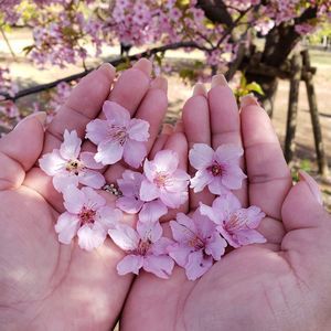 Meet your Posher, Eva